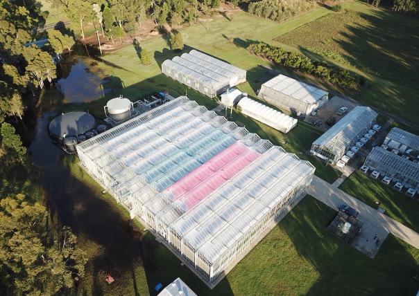 Smart farming greenhouse application implemented in Sydney, Australia